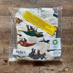 Hanna Andersson Boys Pajamas - Dino Roar